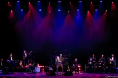 Tony-Hadley-GD5_8167