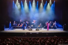 Tony-Hadley-GD5_8198