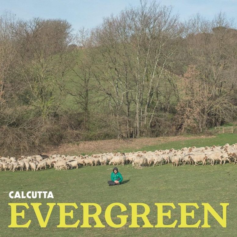 CALCUTTA – Evergreen