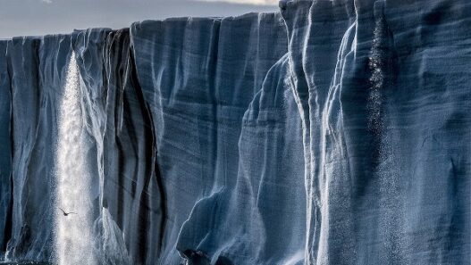 Pearl Jam Gigaton Cover