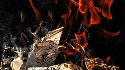 Sinceramente Mostro cover album Mostro