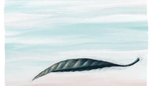 Lost in desert_Rodrigo D'Erasmo_Cover