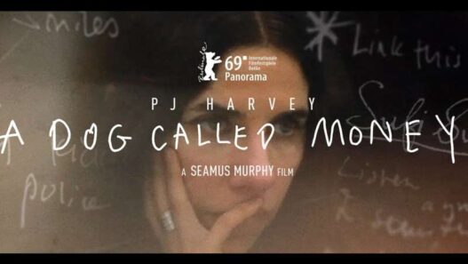 pj harvey A dog called money