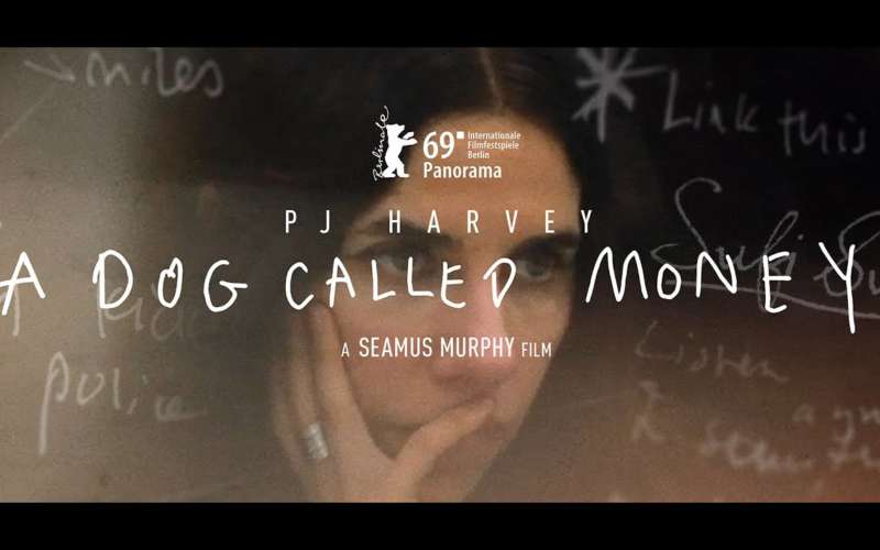 pj harvey A dog called money