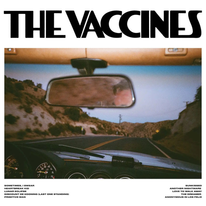 Recensione: THE VACINNES – “Pick-Up Full Of Pink Carnations”